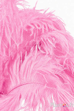 Struzzo - 30-40 cm - rosa 
